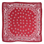 Women's Paisley 70cm Professional Scarf