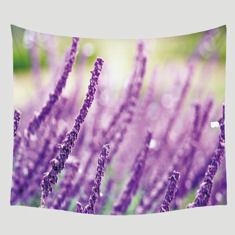 Decorative bedroom tapestries