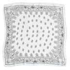 Women's Paisley 70cm Professional Scarf