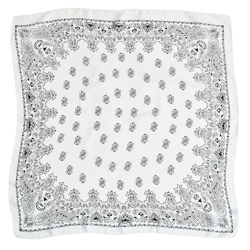 Women's Paisley 70cm Professional Scarf