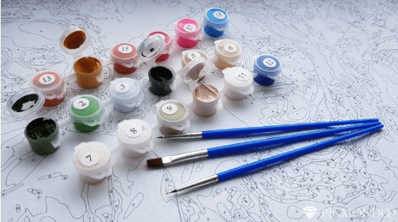 Cross-border one generation digital painting diy frameless custom Shopify AliExpress EBY Amazon WIS