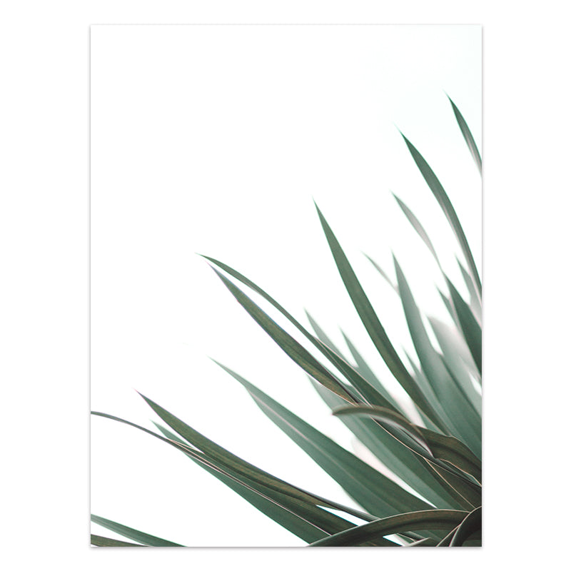 Nordic Style Tropical Plants Poster Green Leaves Canvas Print