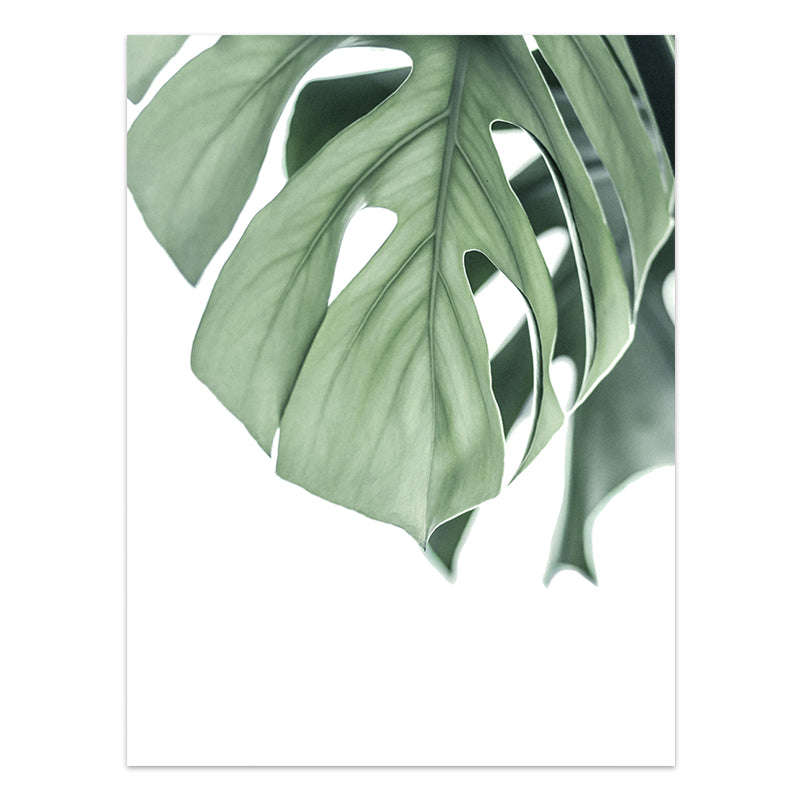 Nordic Style Tropical Plants Poster Green Leaves Canvas Print
