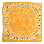 Women's Paisley 70cm Professional Scarf