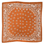 Women's Paisley 70cm Professional Scarf