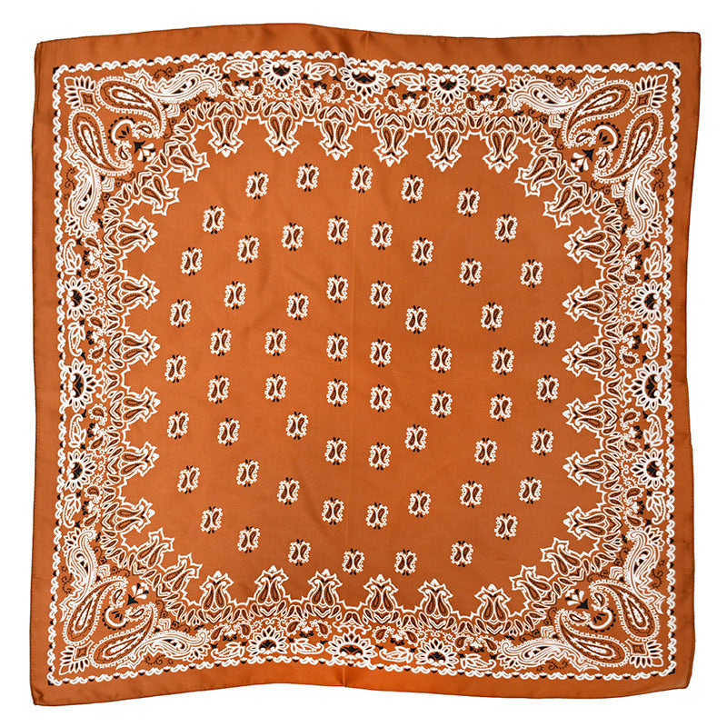 Women's Paisley 70cm Professional Scarf