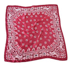 Women's Paisley 70cm Professional Scarf