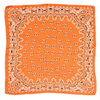 Women's Paisley 70cm Professional Scarf