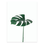 Nordic Style Tropical Plants Poster Green Leaves Canvas Print